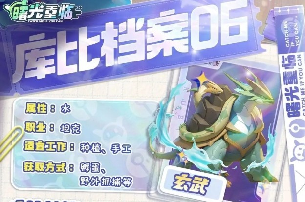 阵容布局示意