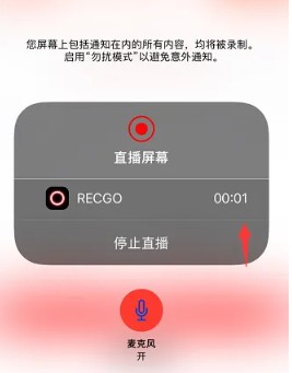 录丸录屏