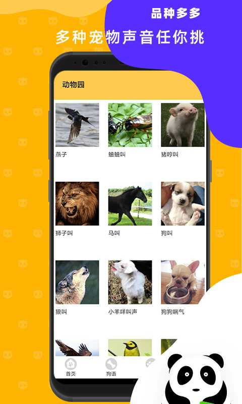 猫狗翻译神器2025