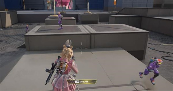 远光84