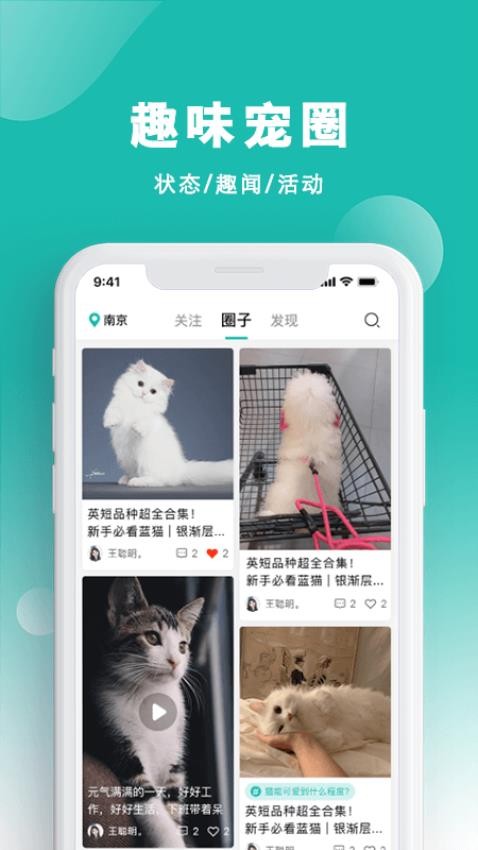 宠都4.1.2