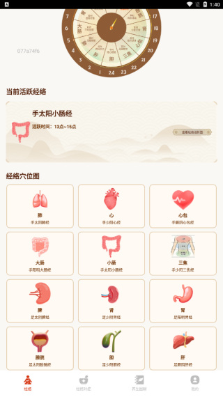 经络与穴位图谱