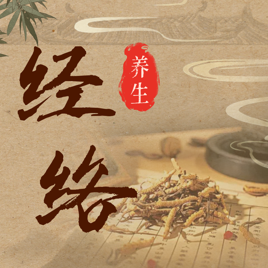 穴位经络图谱