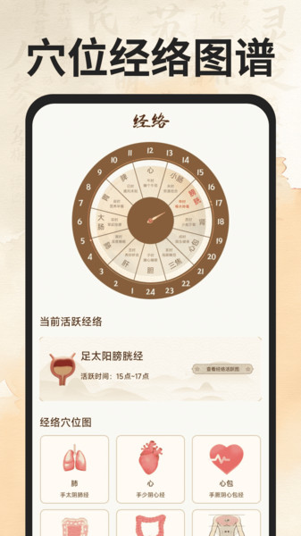 穴位经络图谱
